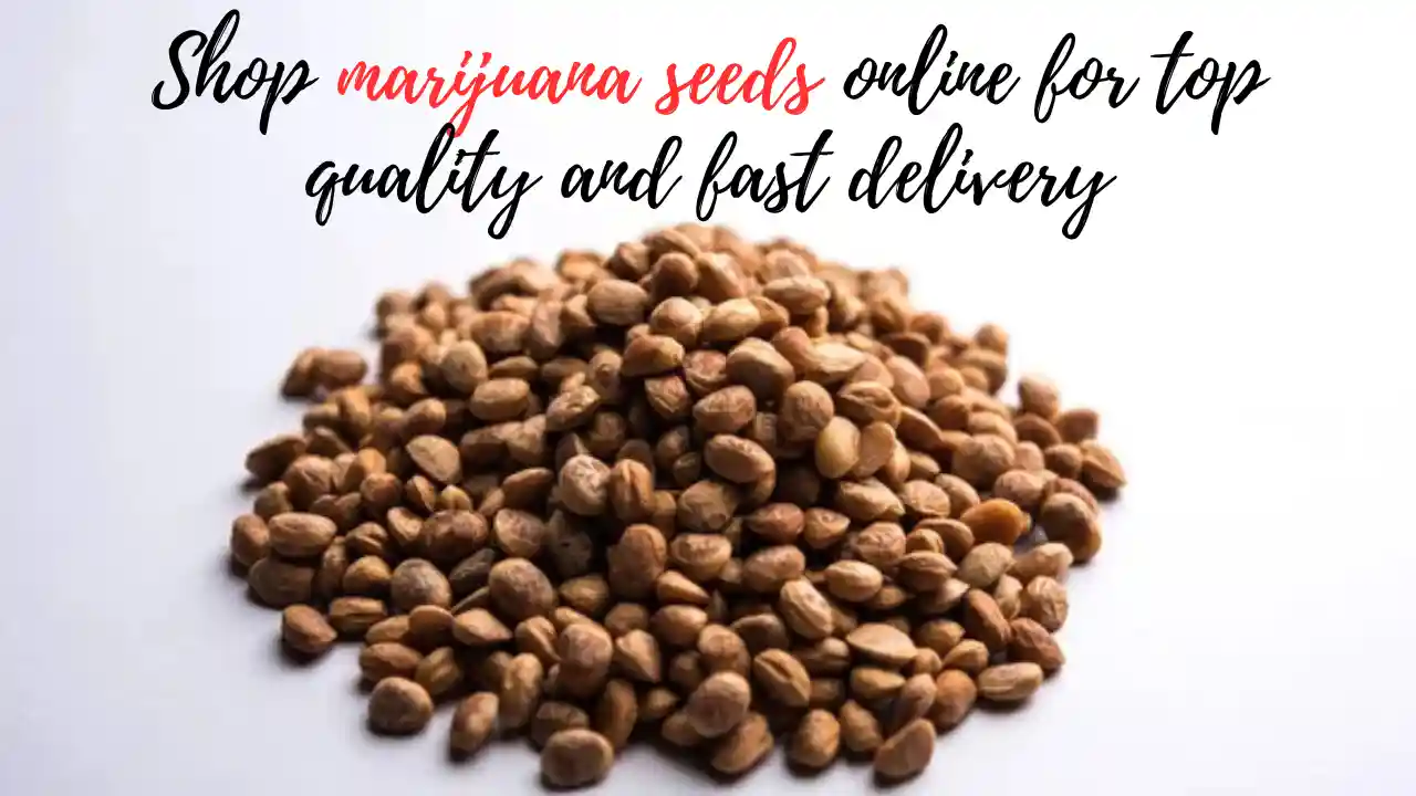 shop marijuana seeds